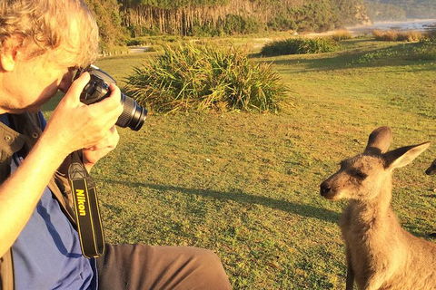 Highlights Of The Eurobodalla (half Day Private Tour) - Northern Rivers Accommodation 2
