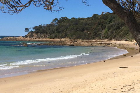 Highlights Of The Eurobodalla (half Day Private Tour) - Northern Rivers Accommodation 5
