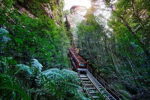 TooRoo Blue Mountains Private Tour - Northern Rivers Accommodation 3