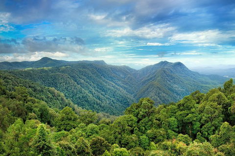 Byron Bay Fish & Feast - Northern Rivers Accommodation 3