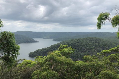 Kayak Camping Adventure To Marramarra Orchard - Northern Rivers Accommodation 8