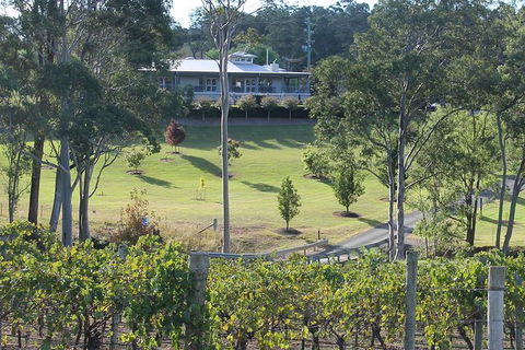 Tulloch Wines- Tasting Of 6 Pokolbin Dry Red Shiraz Vintages With Charcuterie - Northern Rivers Accommodation 6