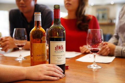 Tulloch Wines- Tasting Of 6 Pokolbin Dry Red Shiraz Vintages With Charcuterie - Northern Rivers Accommodation 3