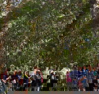 Breakfast Bushwalk Tour in Captain Cook's Monument - Northern Rivers Accommodation