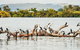 Sunset River Cruise Near Byron Bay - thumb 27
