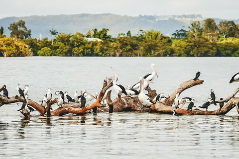 Sunset River Cruise Near Byron Bay - Northern Rivers Accommodation 27