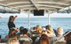 Sunset River Cruise Near Byron Bay - thumb 29
