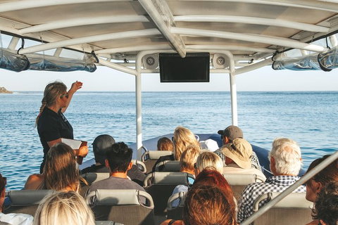 Sunset River Cruise Near Byron Bay - Northern Rivers Accommodation 29