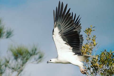 Sunset River Cruise Near Byron Bay - Northern Rivers Accommodation 30