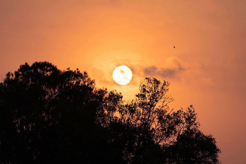 Sunset River Cruise Near Byron Bay - Northern Rivers Accommodation 14
