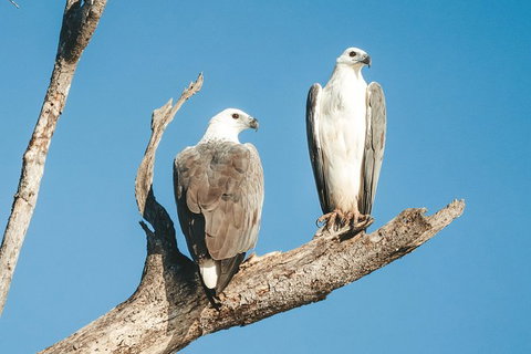 Sunset River Cruise Near Byron Bay - Northern Rivers Accommodation 19