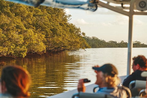 Sunset River Cruise Near Byron Bay - Northern Rivers Accommodation 26