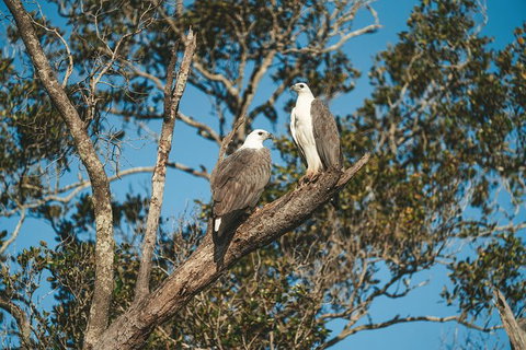 Sunset River Cruise Near Byron Bay - Northern Rivers Accommodation 9
