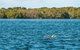Sunset River Cruise Near Byron Bay - thumb 2
