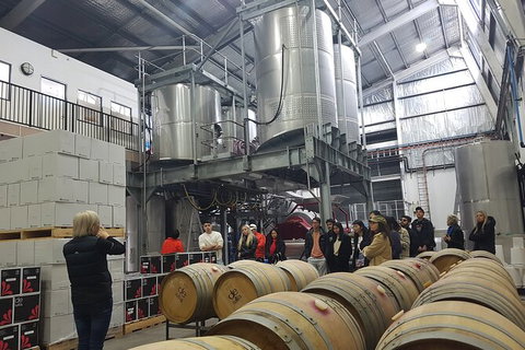 Hunter Valley Small Group Wine, Gin, Cheese & Chocolate Tour - Northern Rivers Accommodation 6