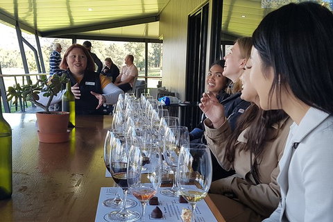 Hunter Valley Small Group Wine, Gin, Cheese & Chocolate Tour - Northern Rivers Accommodation 2