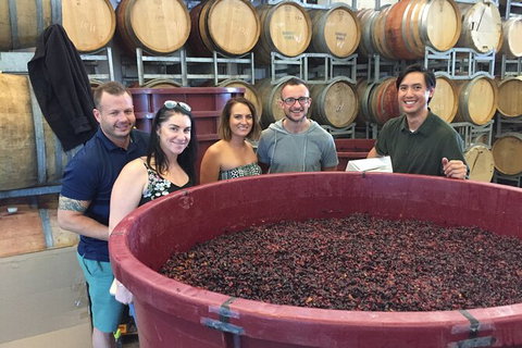 Hunter Valley Small Group Wine, Gin, Cheese & Chocolate Tour - Northern Rivers Accommodation 0