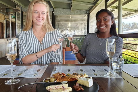 Hunter Valley Exclusive Kangaroo And Wine Tasting Experience - Northern Rivers Accommodation 7