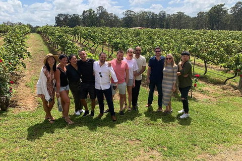Hunter Valley Exclusive Kangaroo And Wine Tasting Experience - Northern Rivers Accommodation 6