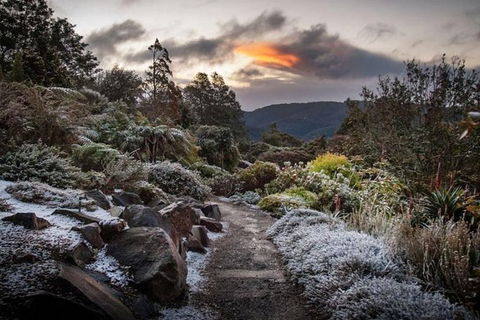 Blue Mountains Botanic Garden And Bilpin Tour From Katoomba With Cider Tasting - Northern Rivers Accommodation 2
