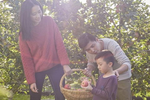 Blue Mountains Botanic Garden And Bilpin Tour From Katoomba With Cider Tasting - Northern Rivers Accommodation 1