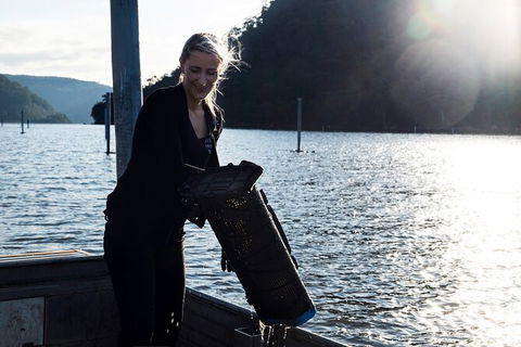 Oyster Farm Tour- Hawkesbury River (1hr North Of Sydney). - Northern Rivers Accommodation 1