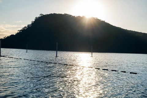 Oyster Farm Tour- Hawkesbury River (1hr North Of Sydney). - Northern Rivers Accommodation 4