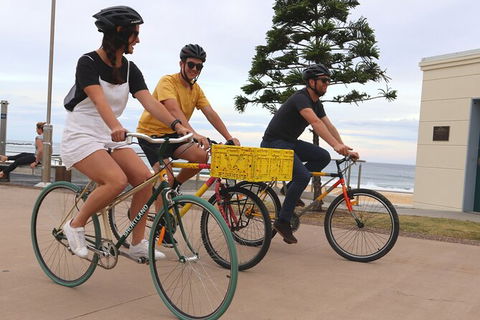 Newcastle Half-Day Bike Tour With Lunch - Northern Rivers Accommodation 0