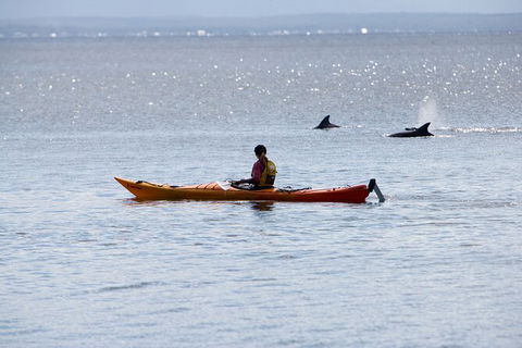 Half-Day Jervis Bay Sea Kayak Tour - Northern Rivers Accommodation 4