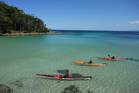 Half-Day Jervis Bay Sea Kayak Tour - Northern Rivers Accommodation 3