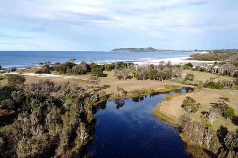 Coffee Farm Tour And Workshop, Byron Bay Hinterland - Northern Rivers Accommodation 3