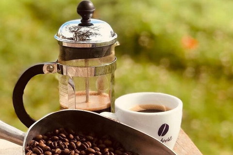 Coffee Farm Tour And Workshop, Byron Bay Hinterland - Northern Rivers Accommodation 0