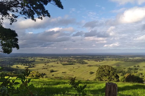 Coffee Farm Tour And Workshop, Byron Bay Hinterland - Northern Rivers Accommodation 4