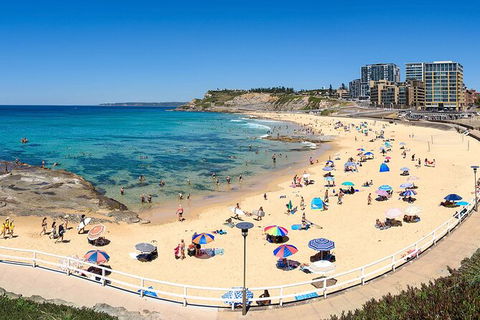Newcastle Scenic Explorer - 2 Hour Tour By Minibus - Northern Rivers Accommodation 16