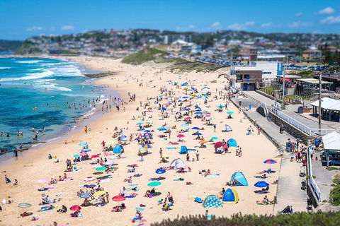 Newcastle Scenic Explorer - 2 Hour Tour By Minibus - Northern Rivers Accommodation 6