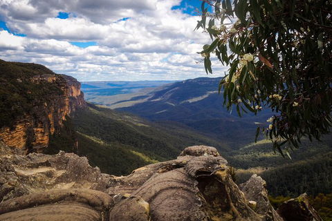 Blue Mountains Private Charter - Northern Rivers Accommodation 8