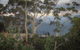Blue Mountains Private Charter - thumb 9