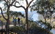 Blue Mountains Private Charter - thumb 12