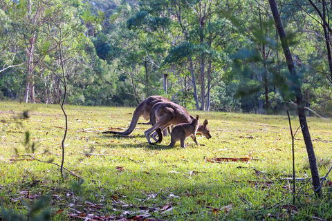 Blue Mountains Private Charter - Northern Rivers Accommodation 2