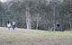 Blue Mountains Private Charter - thumb 20