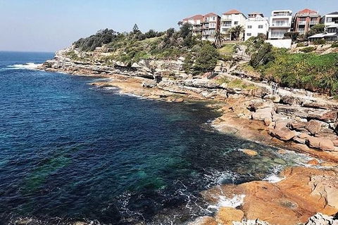 Sydney With Bondi And Beaches Essentials Private Day Tour - Northern Rivers Accommodation 1