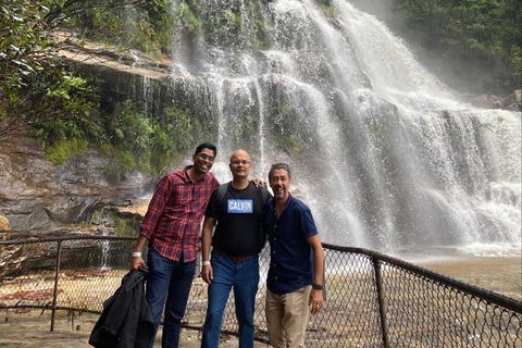 Blue Mountains Highlights & Wildlife Park - Northern Rivers Accommodation 4