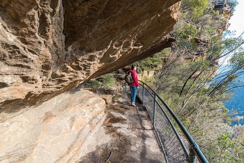 Blue Mountains Highlights & Wildlife Park - Northern Rivers Accommodation 0