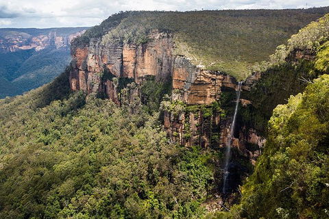 Blue Mountains Highlights & Wildlife Park - Northern Rivers Accommodation 9