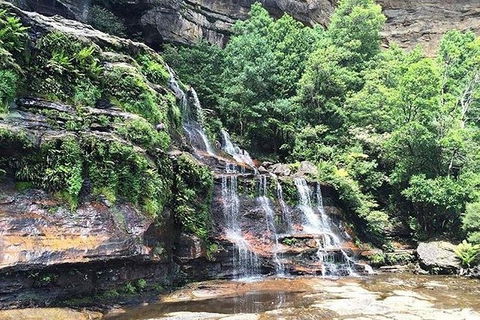 Blue Mountains Highlights & Wildlife Park - Northern Rivers Accommodation 8