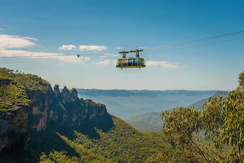 Blue Mountains Highlights, Wildlife Park And Scenic World Full Day Private Tour - Northern Rivers Accommodation 0