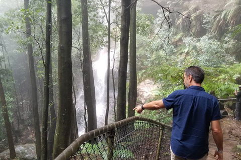 Blue Mountains Highlights, Wildlife Park And Scenic World Full Day Private Tour - Northern Rivers Accommodation 6