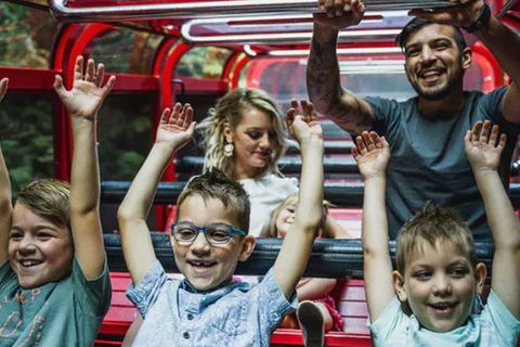 Blue Mountains Highlights, Wildlife Park And Scenic World Full Day Private Tour - Northern Rivers Accommodation 5