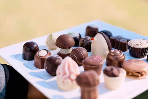 Hunter Valley Highlights Private Wine Tour From Sydney - Northern Rivers Accommodation 7