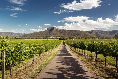 Hunter Valley Highlights Private Wine Tour From Sydney - Northern Rivers Accommodation 2